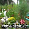 Конкурс "Уютный дворик". Июль 2012 год.